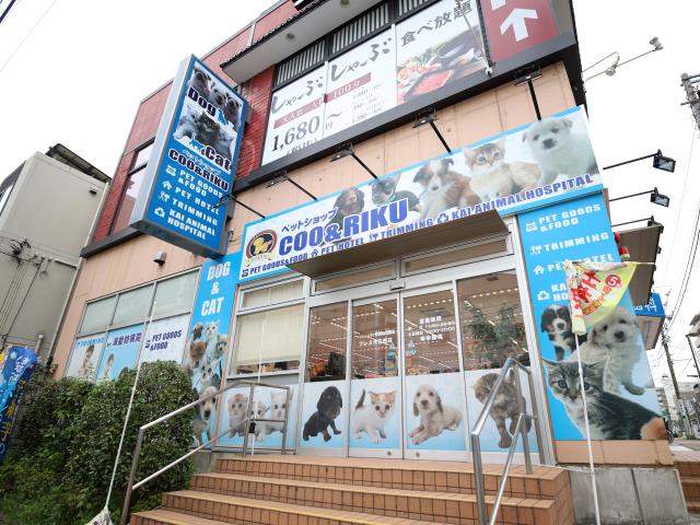島忠江東猿江店の催事スペース情報 東京都江東区 スペースラボ