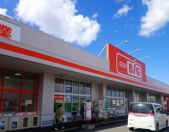 ザ・ビッグ東雁来店