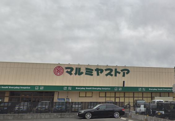 マルミヤストア戸次店
