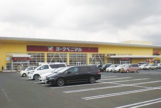 ヨークベニマル新田東店