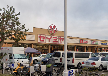 セイミヤ成田芝山店