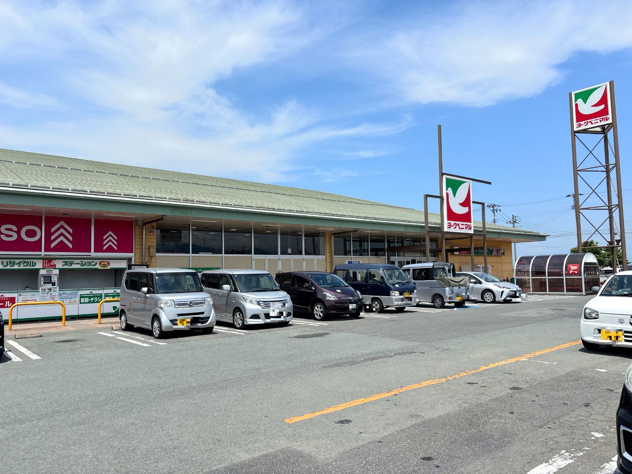 活動歴および当時の関連ビジュアル記録